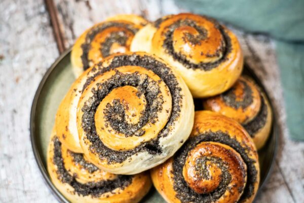 Mohnschnecken-4