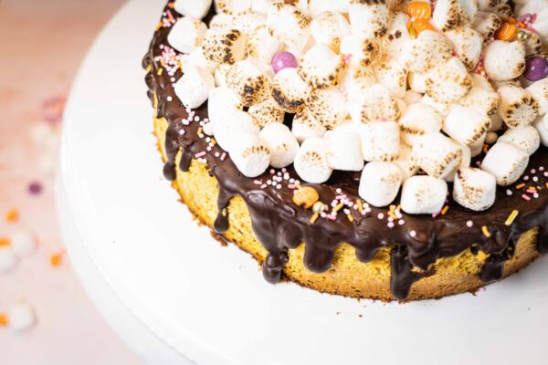 Pumpkin Smores Cheesecake-3