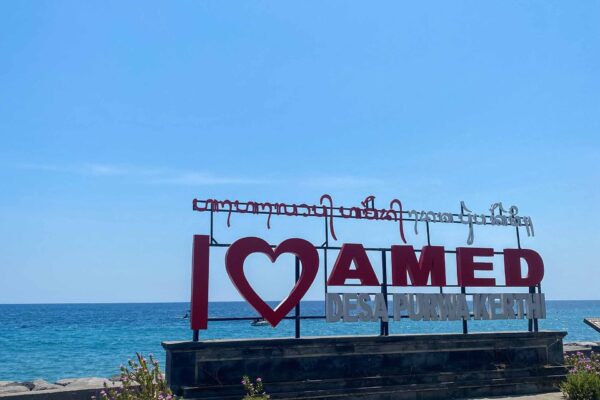 Amed-1