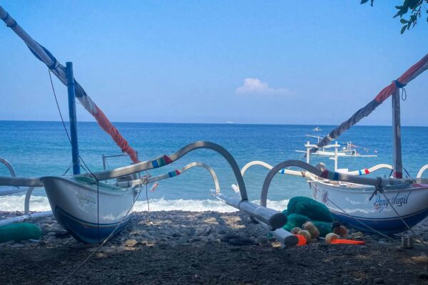 Amed-5