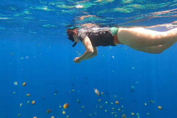 DCIM100GOPROGOPR4001.JPG