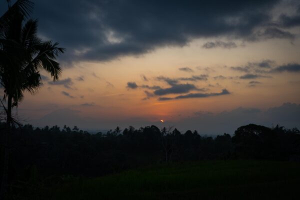 Jatiluwih-3
