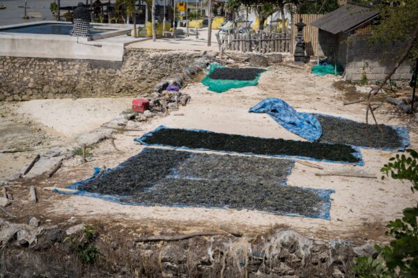 Lembongan-8