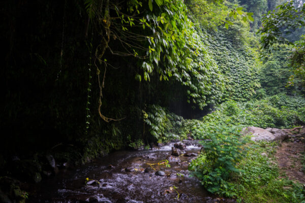 Lemukih-15