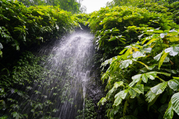 Lemukih-19