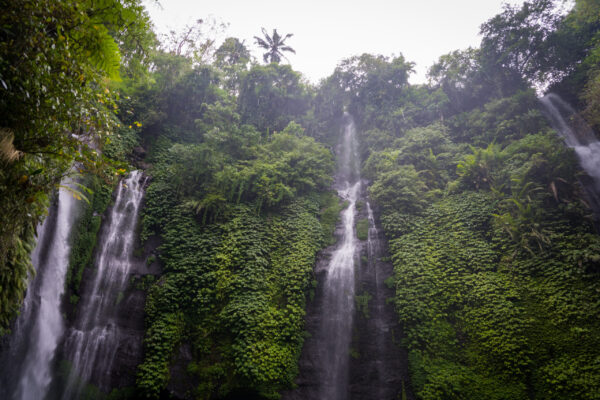 Lemukih-20