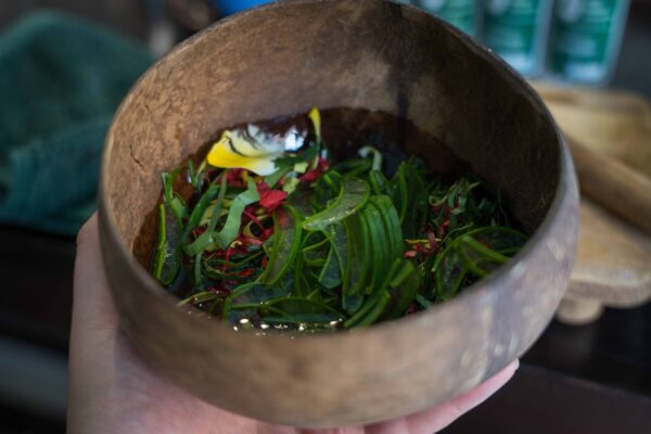 Ubud-105