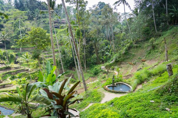 Ubud-21