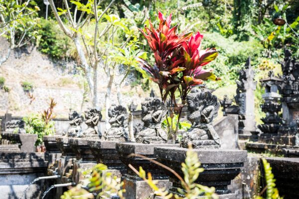 Ubud-29