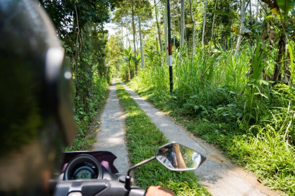 Ubud-38