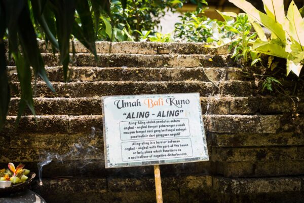 Ubud-44