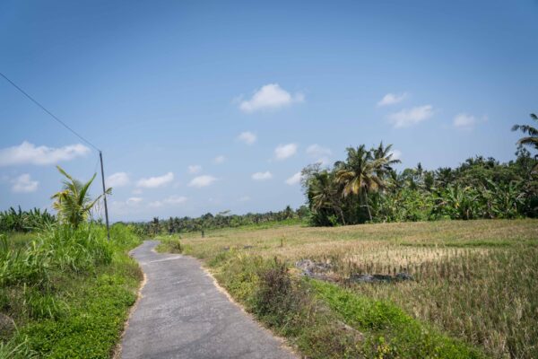 Ubud-56