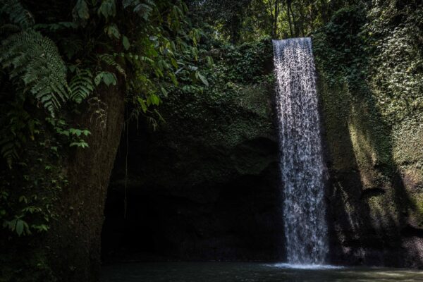 Ubud-57