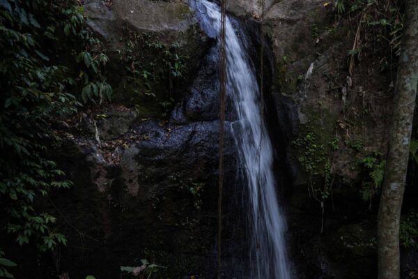 Ubud-71
