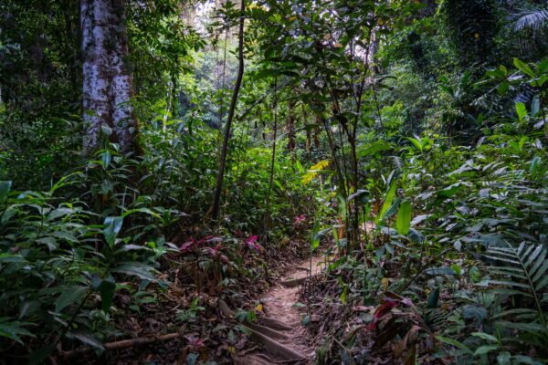 Ubud-72