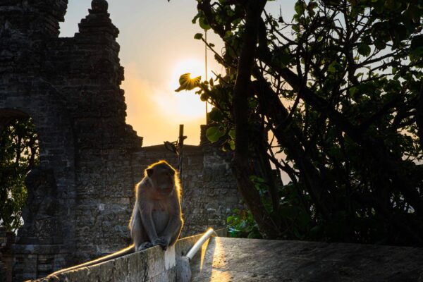 Uluwatu-3