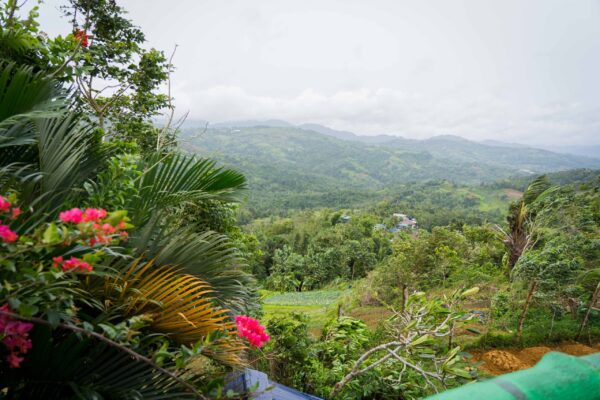 Cebu-3