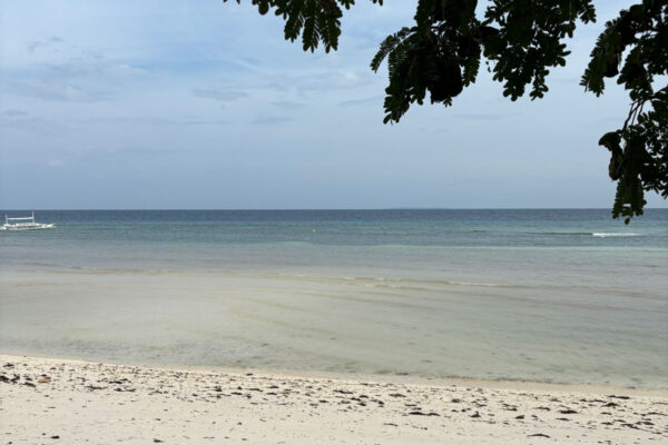 IMG_9463_s