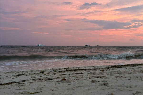 IMG_9477_s