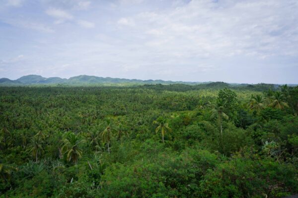 Siargao-17