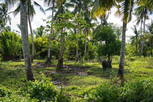 Siargao-46