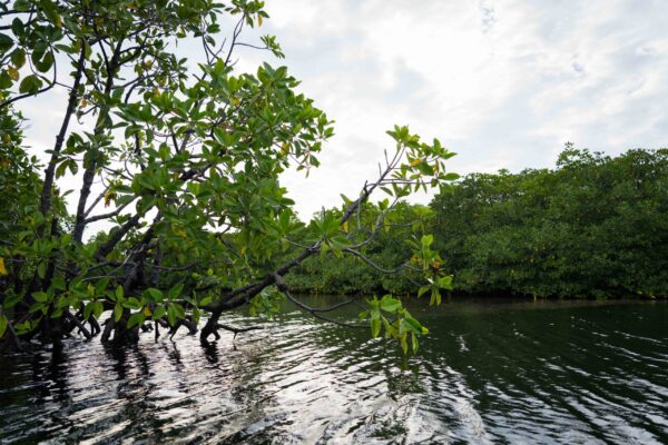 Siargao-51