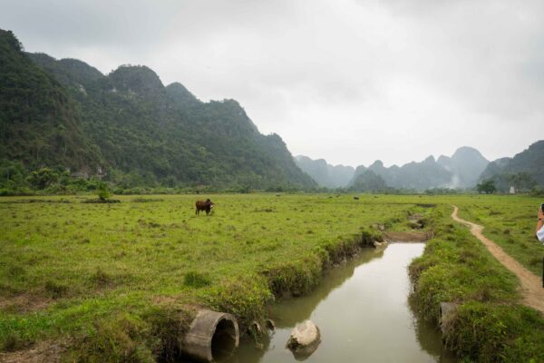 Vietnam-142
