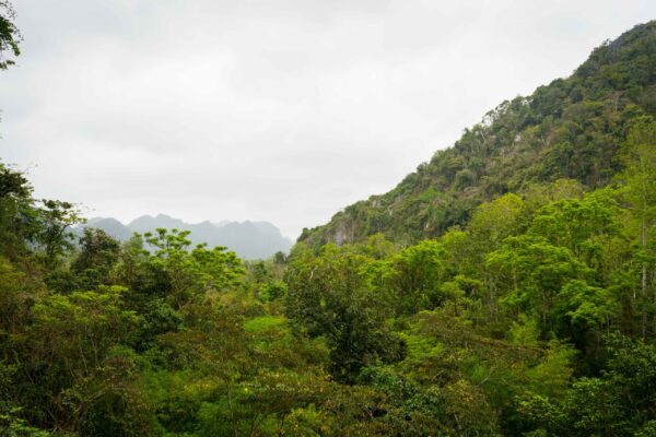 Vietnam-208