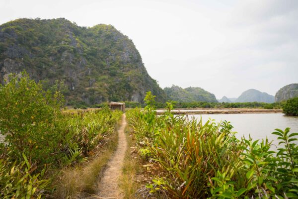 Vietnam-230
