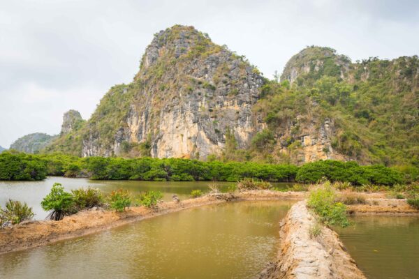 Vietnam-232