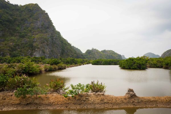 Vietnam-234