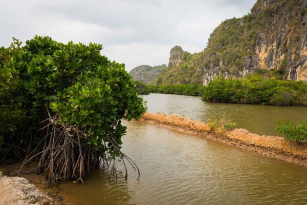 Vietnam-236