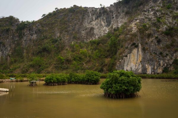 Vietnam-239