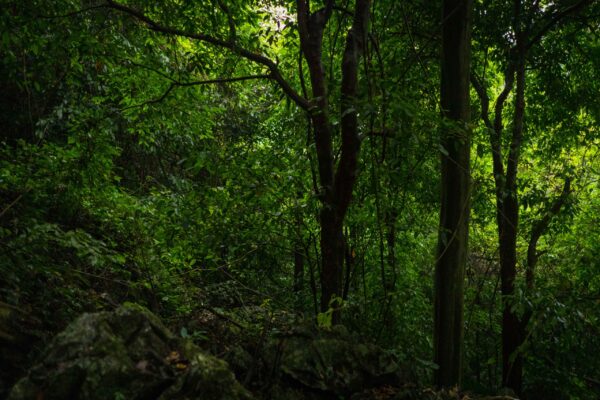 Vietnam-349