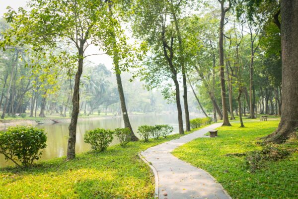 Vietnam-36