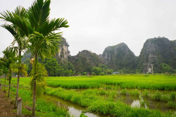 Vietnam-380