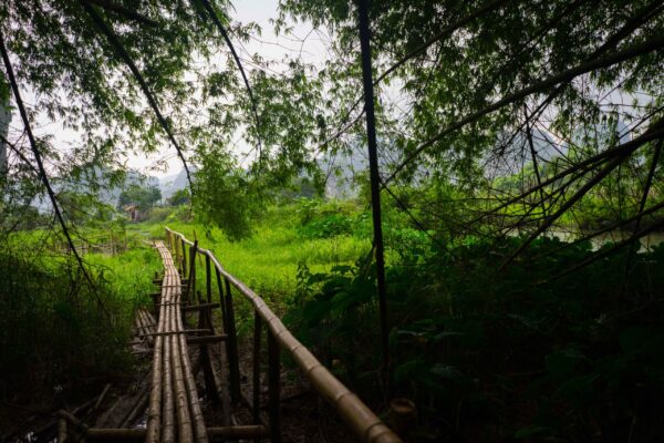 Vietnam-395