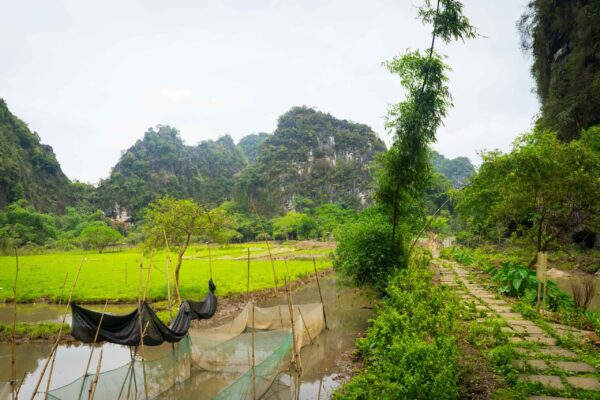 Vietnam-428