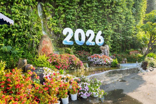 Vietnam-621