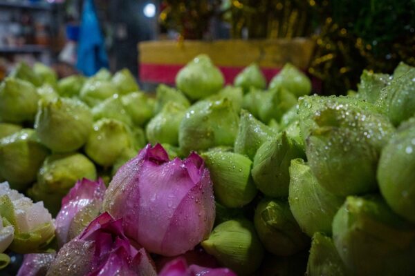 Saigon-74