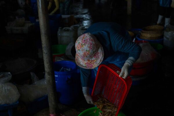 Vietnam-533